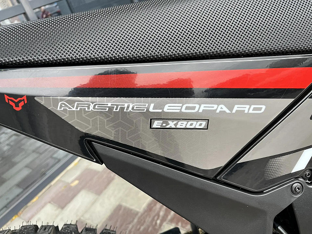 Электромотоцикл Arctic Leopard EX 800